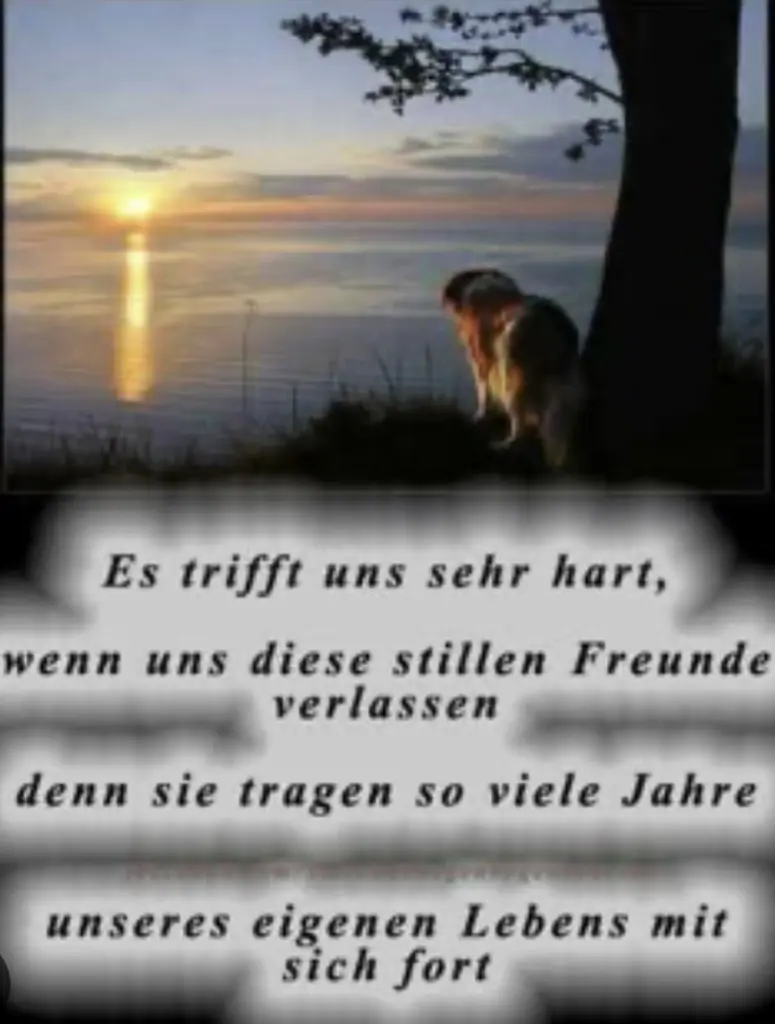 Condolence image of Mona mit Lina im ♥️