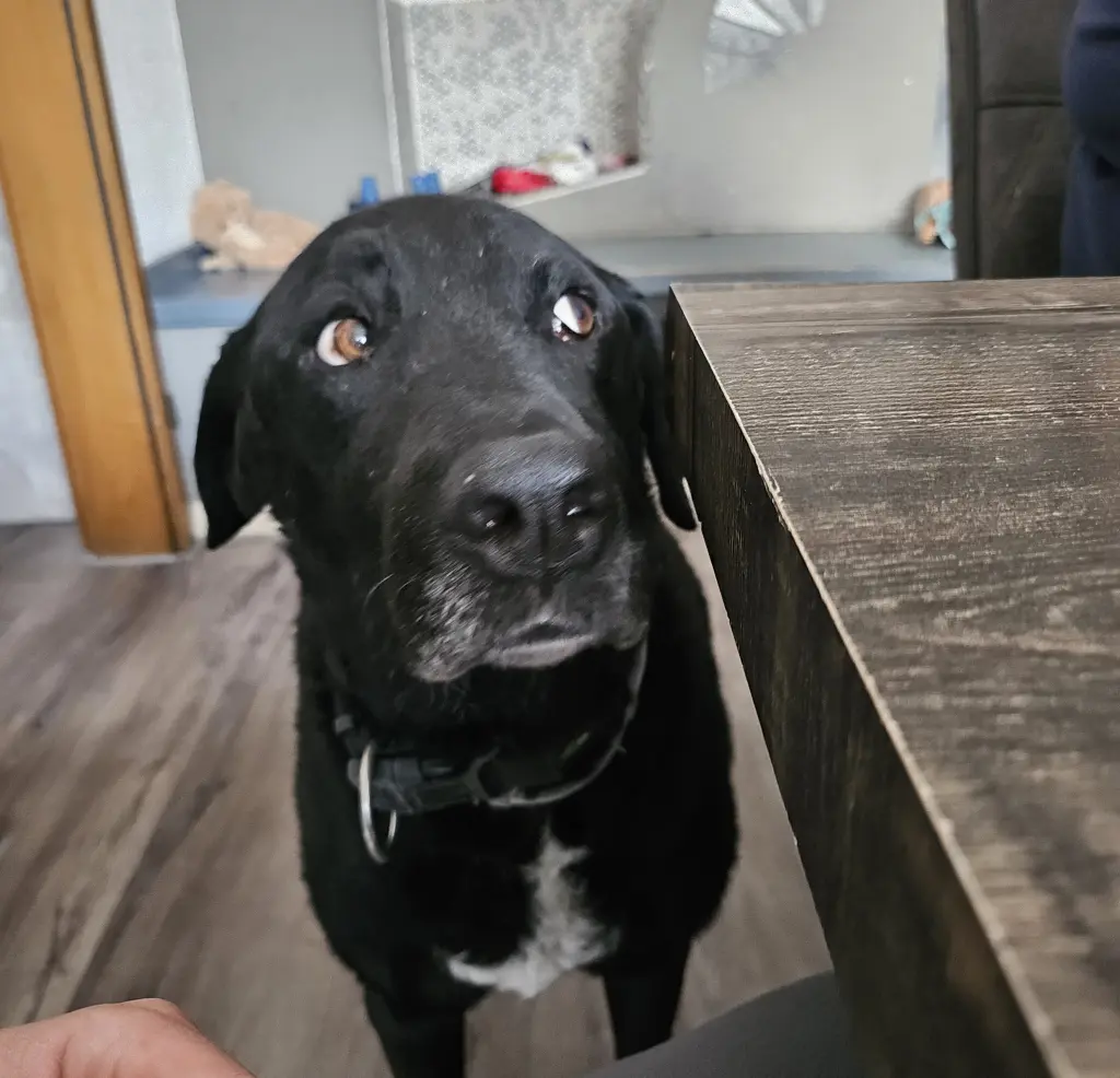 Condolence image of Sven Schödl