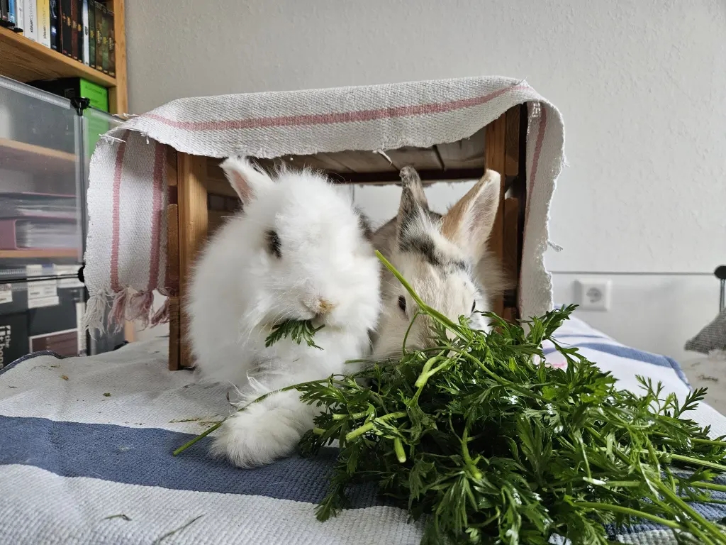 Knabbern mit Trudi