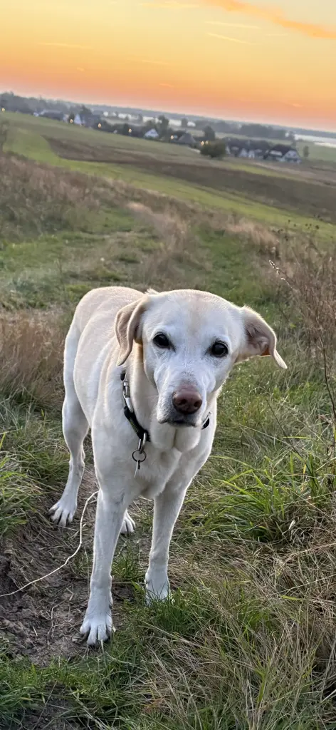 Condolence image of Angela