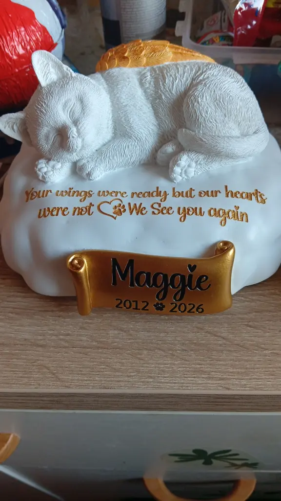 Image from Maggie
