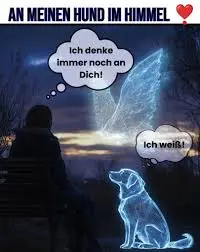 Condolence image of Sylvia und Wolfgang