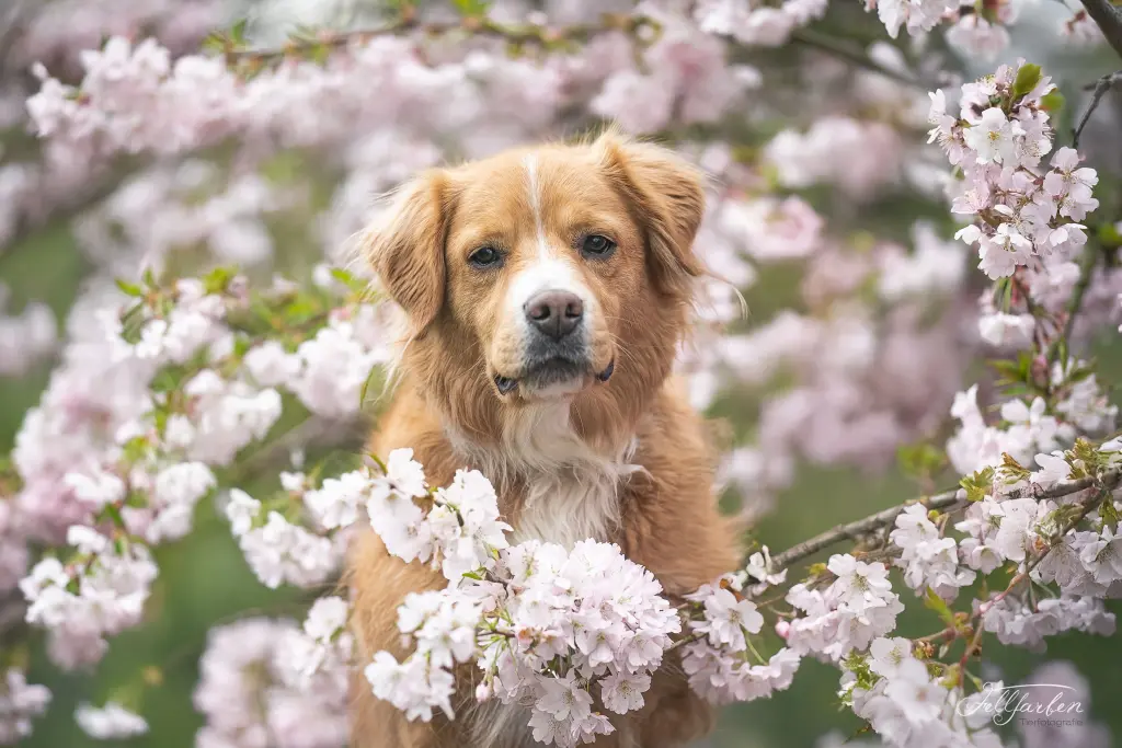 Mit dir war es immer Frühling.
