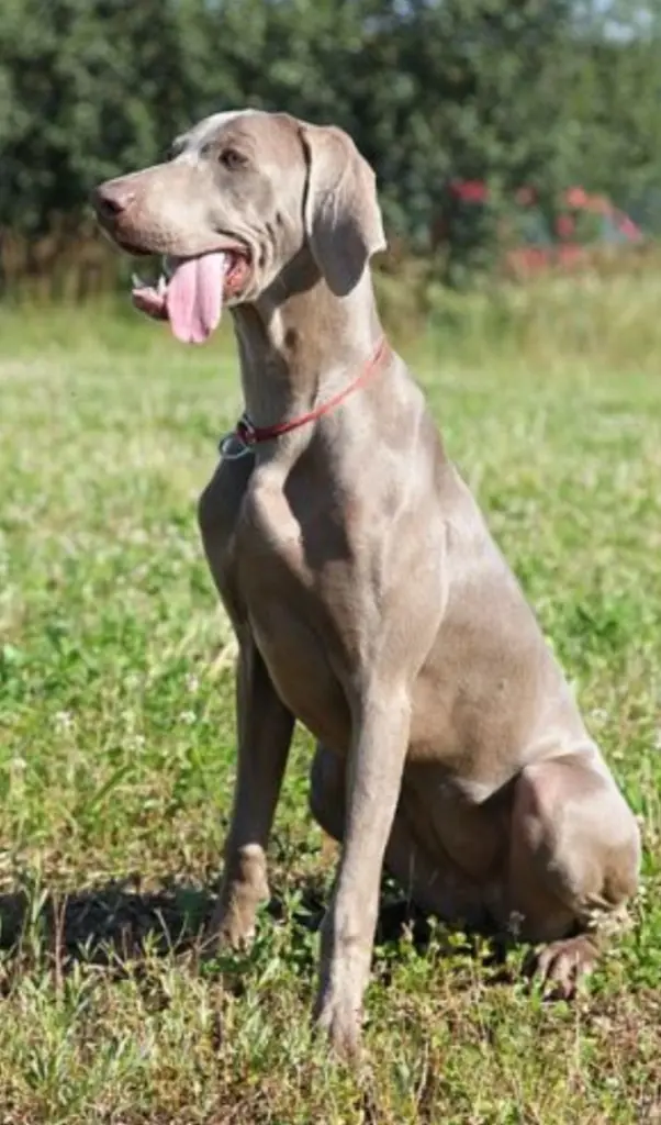 Andachtsbild von Simone Pflüger