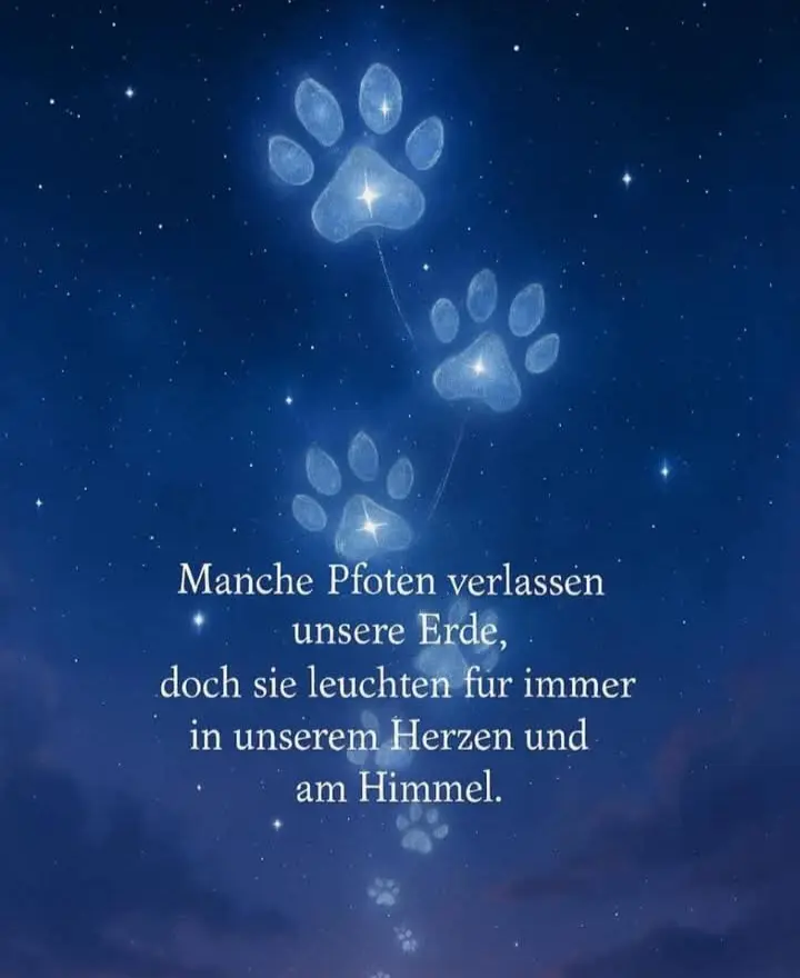 Andachtsbild von Stephanie