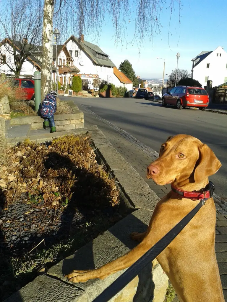 Andachtsbild von Cornelia Menzel