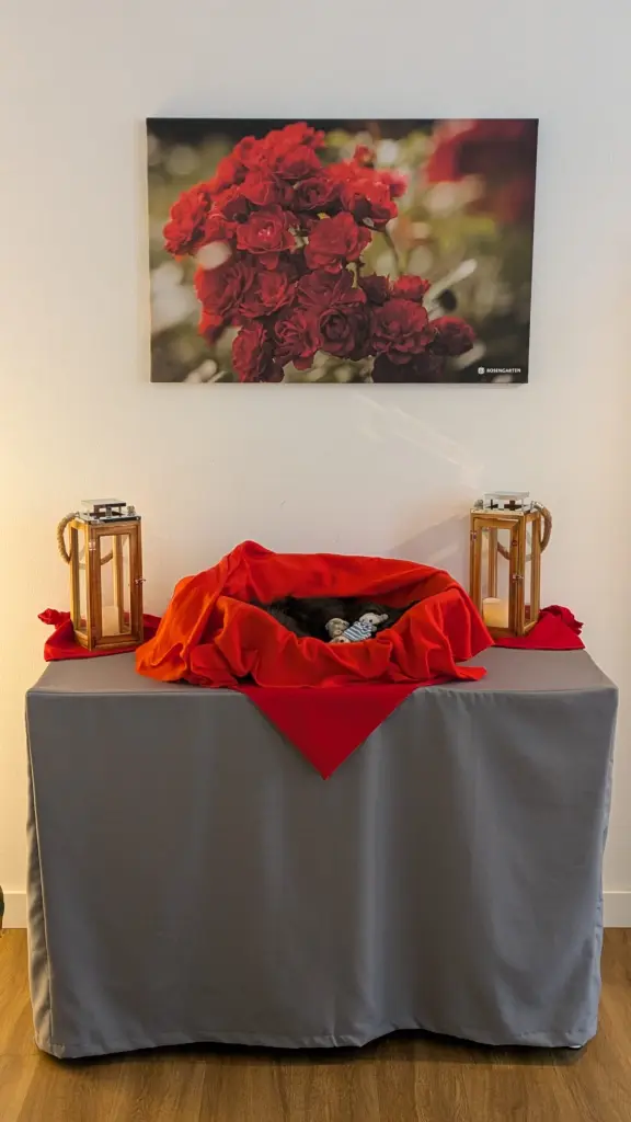 Image from Susi