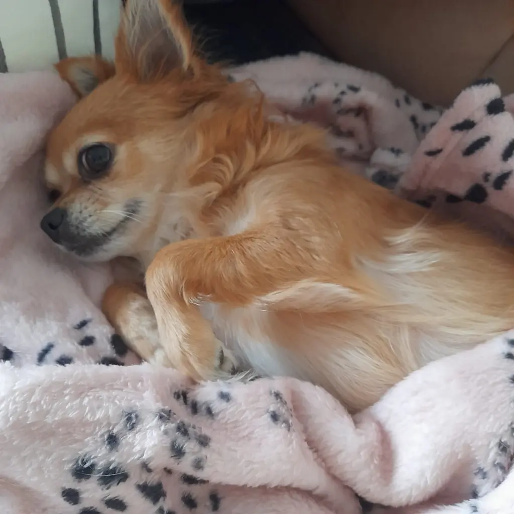 Image from Buffy