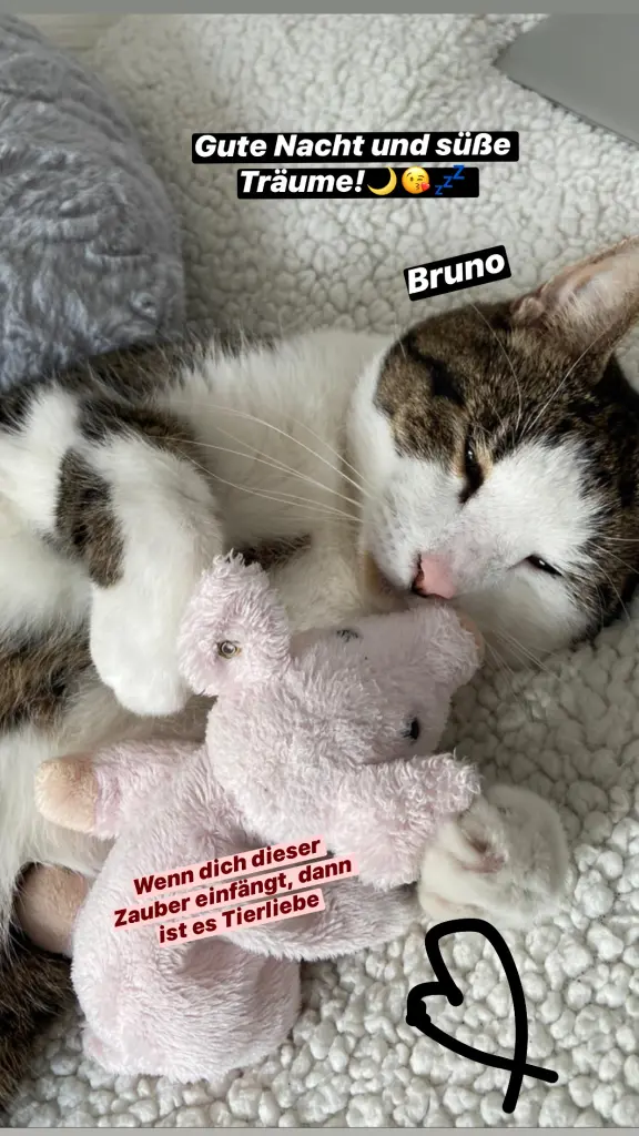 Image from Bruno