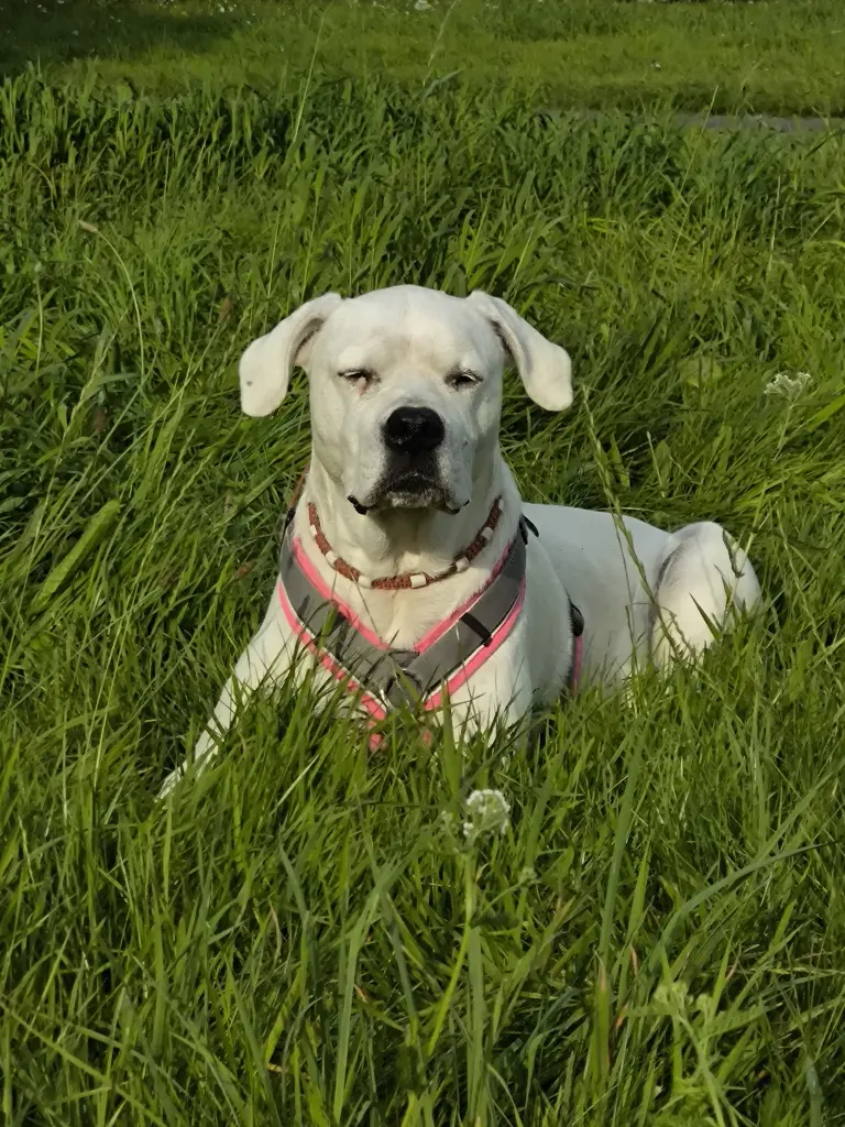 Andachtsbild von Doris Schröder