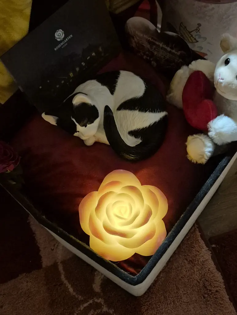 Image from Louisa 🐈🌹
