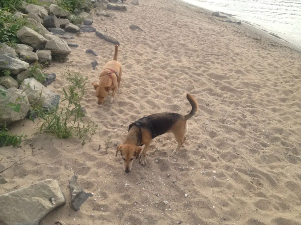 Condolence image of Mina