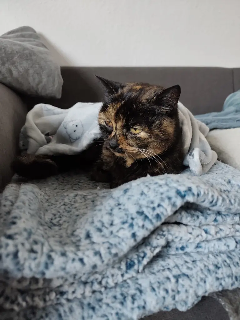 Andachtsbild von Rita Maurutto