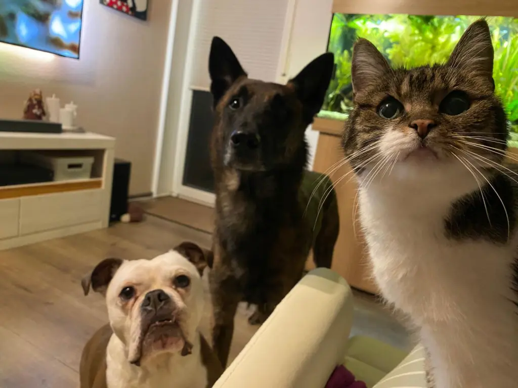 Mit ihren Bodyguards 🤭