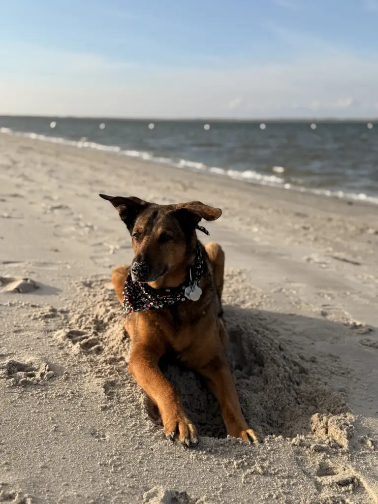 geliebte Nordsee ❤️