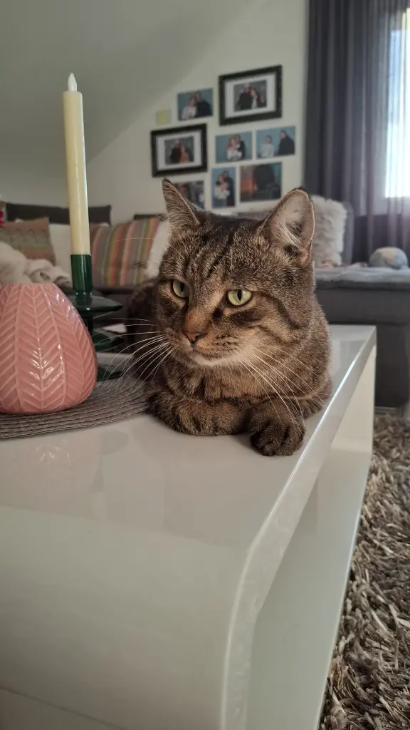 Endlose Schönheit🩷