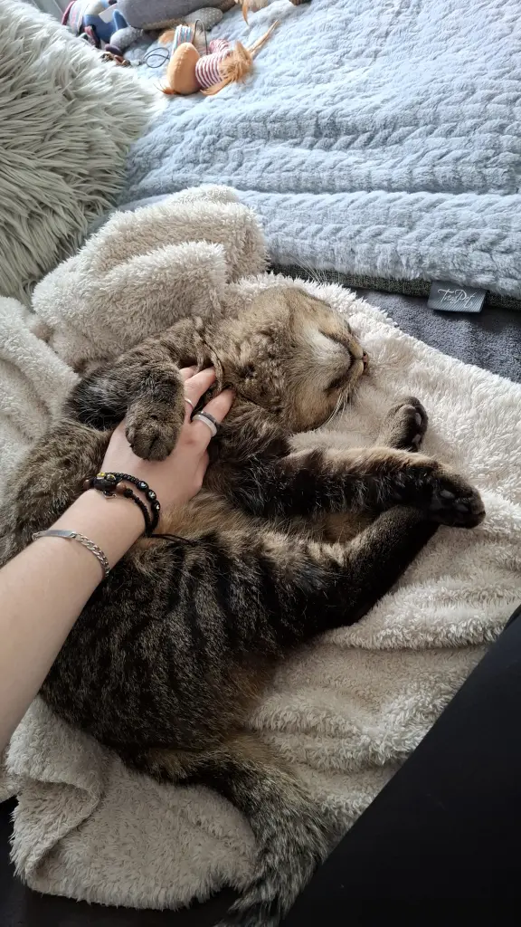 Kuscheliges Bebi🌸