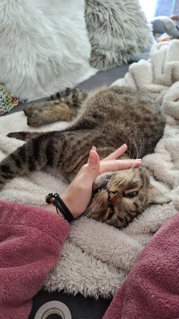 Kleiner Vampir❤️