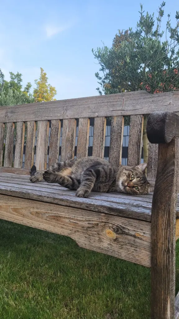 Kleiner Abenteuerer🥹