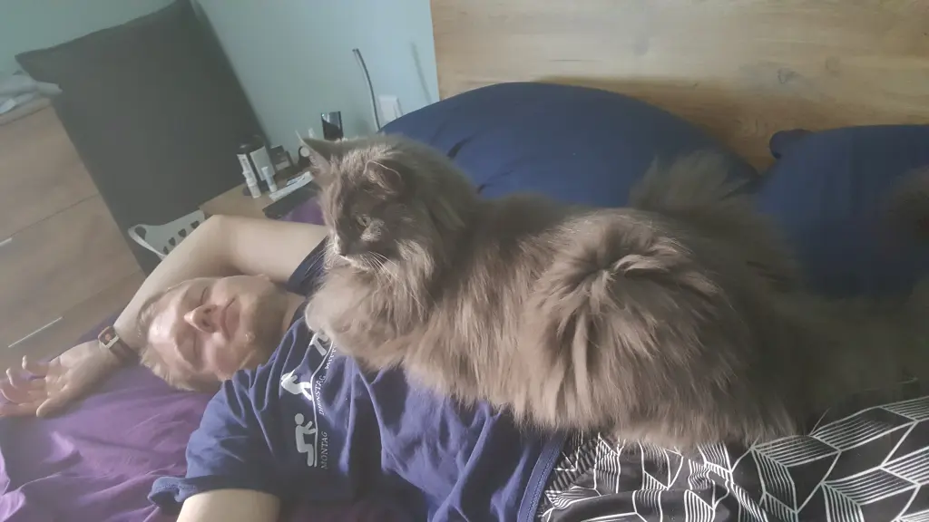 Bild von Timmy