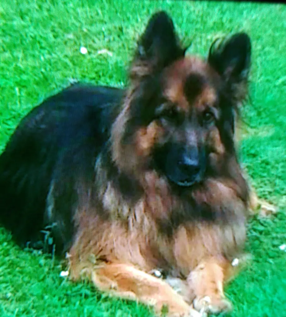 Condolence image of Klaudia