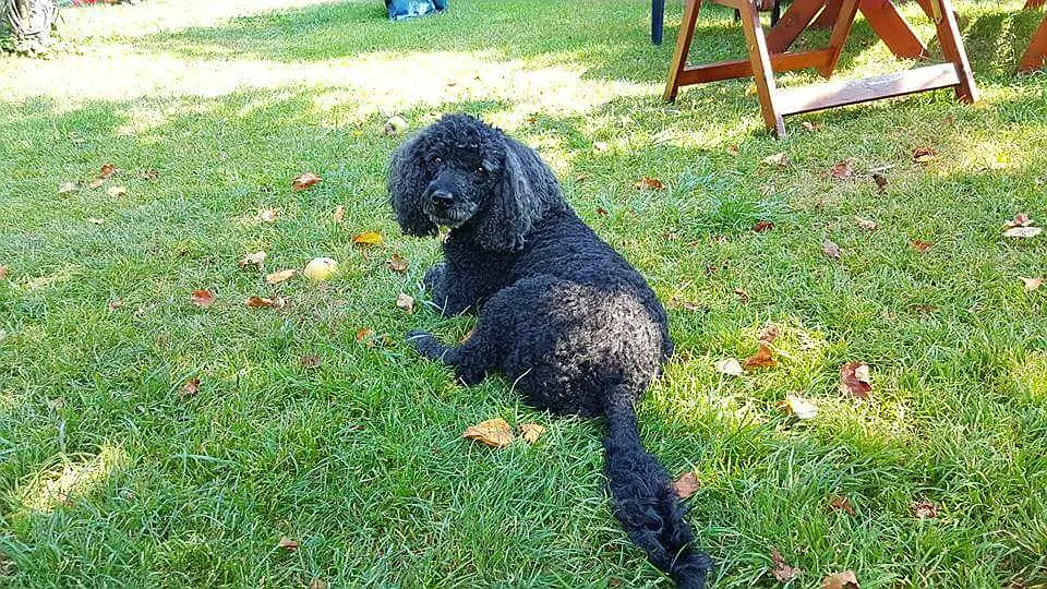 Condolence image of Unbekannt