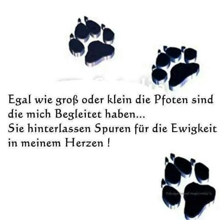 Condolence image of Unbekannt