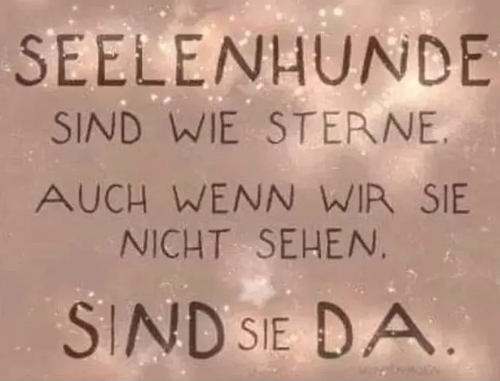 Condolence image of Unbekannt