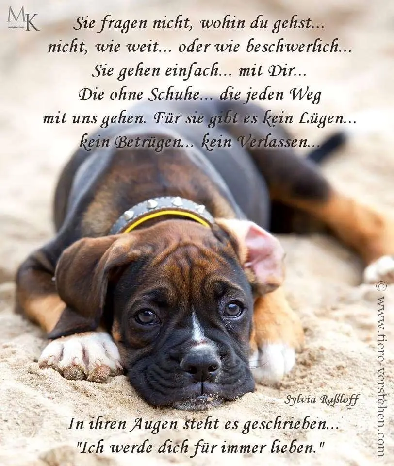 Condolence image of Unbekannt