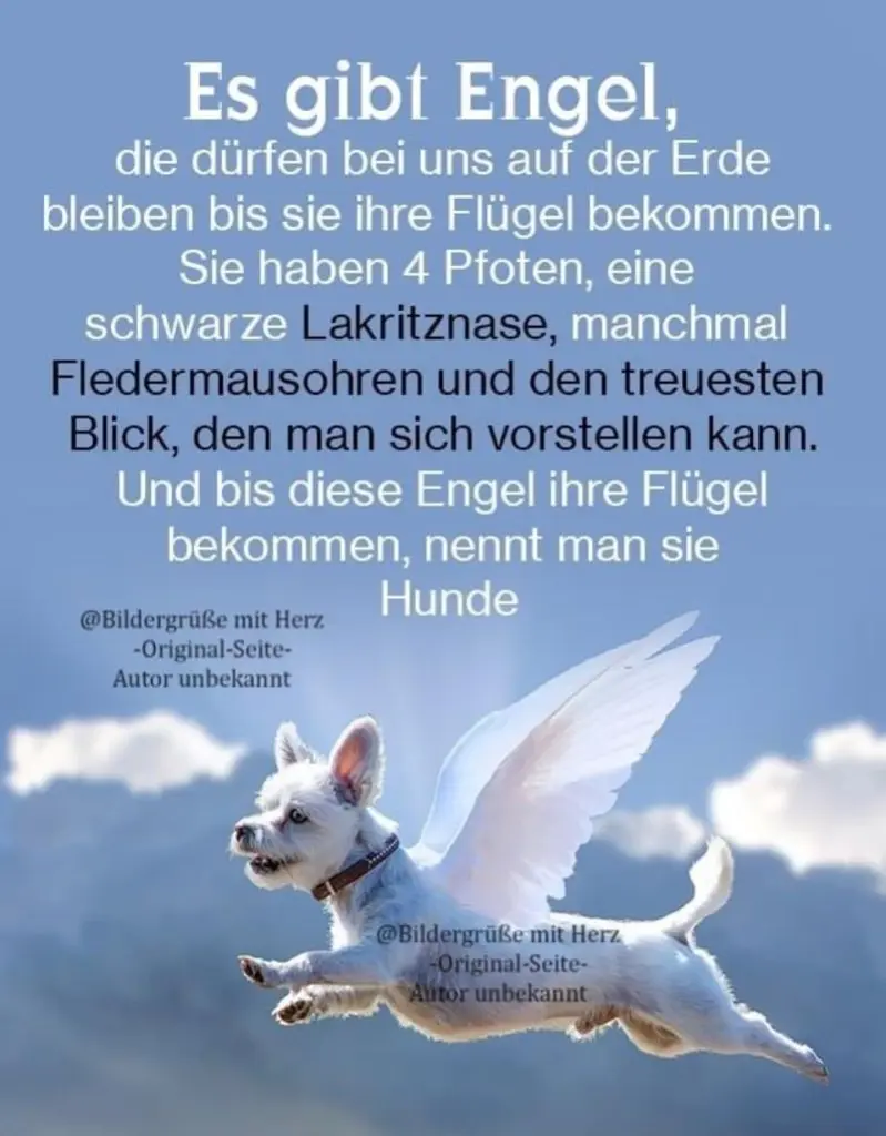 Condolence image of Unbekannt