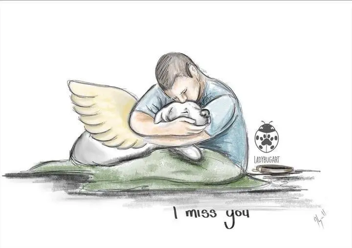 Condolence image of Unbekannt