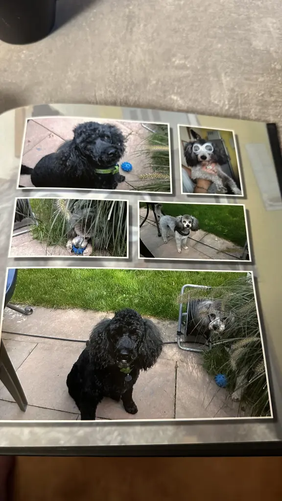 Condolence image of Unbekannt