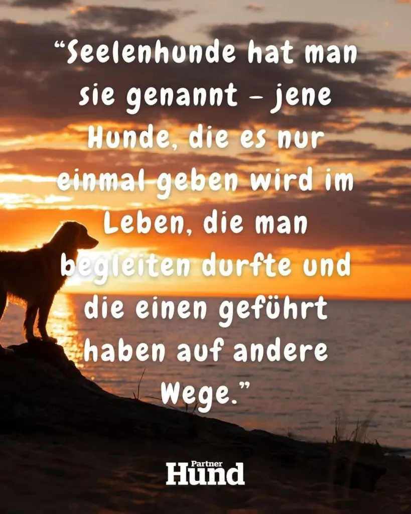 Andachtsbild von Unbekannt