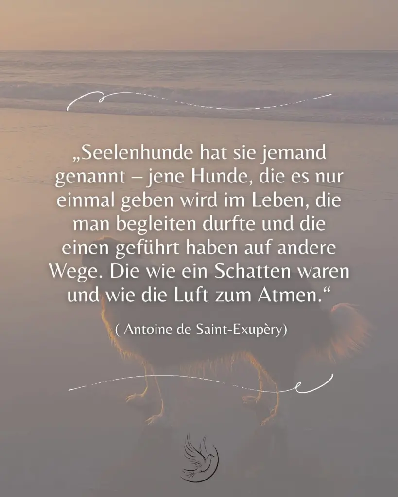 Condolence image of Nadja