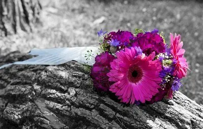 Condolence image of Bianca