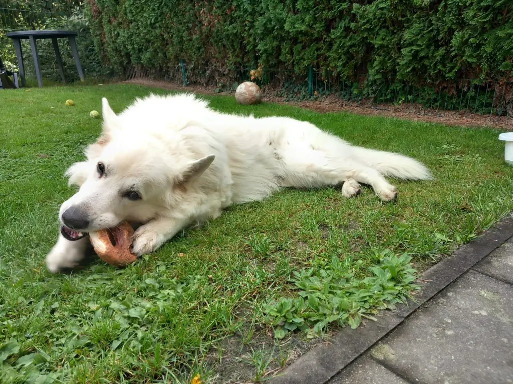 Bild von Yuki