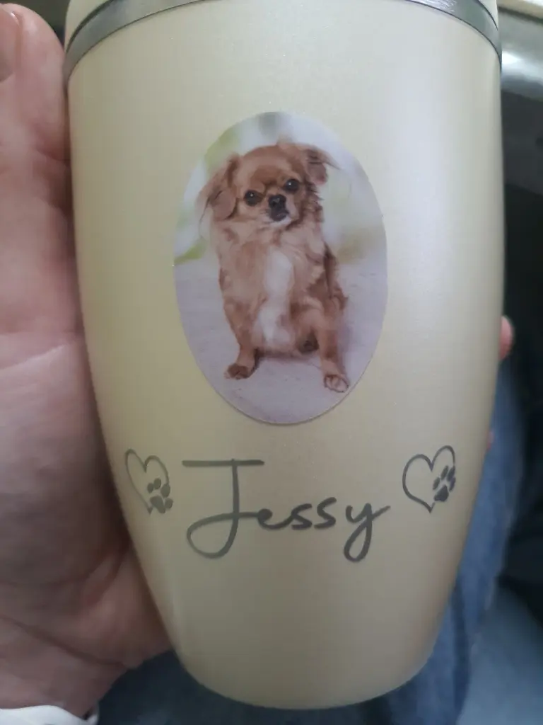 Image from Jessy