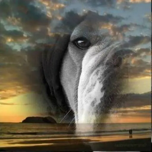 Andachtsbild von Jürgen Klostreich