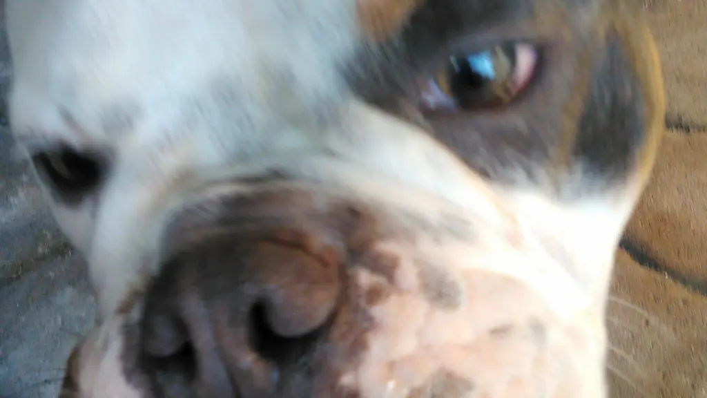 Andachtsbild von Jürgen Klostreich