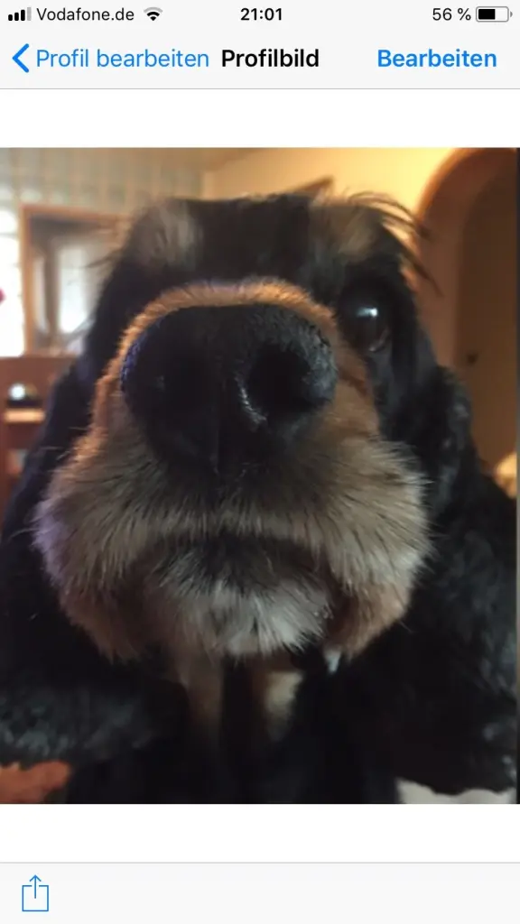 Bild von Tobi