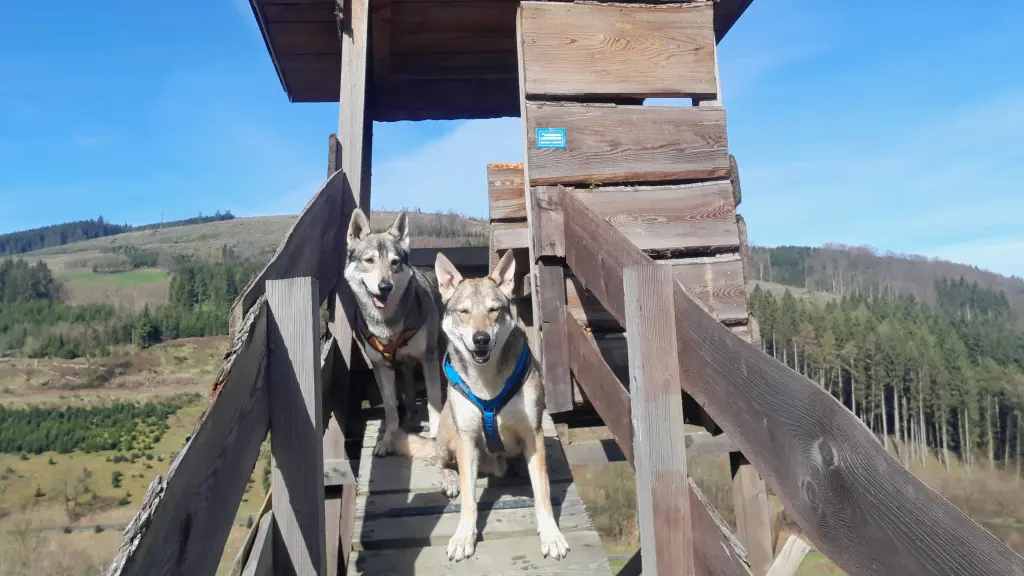 Sauerland Tour mit Bruder Maximus