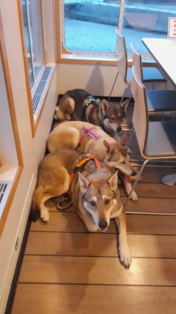 Fähre von Rømø nach Sylt mit Schwester Maja Maxime & Bruder Mica-to