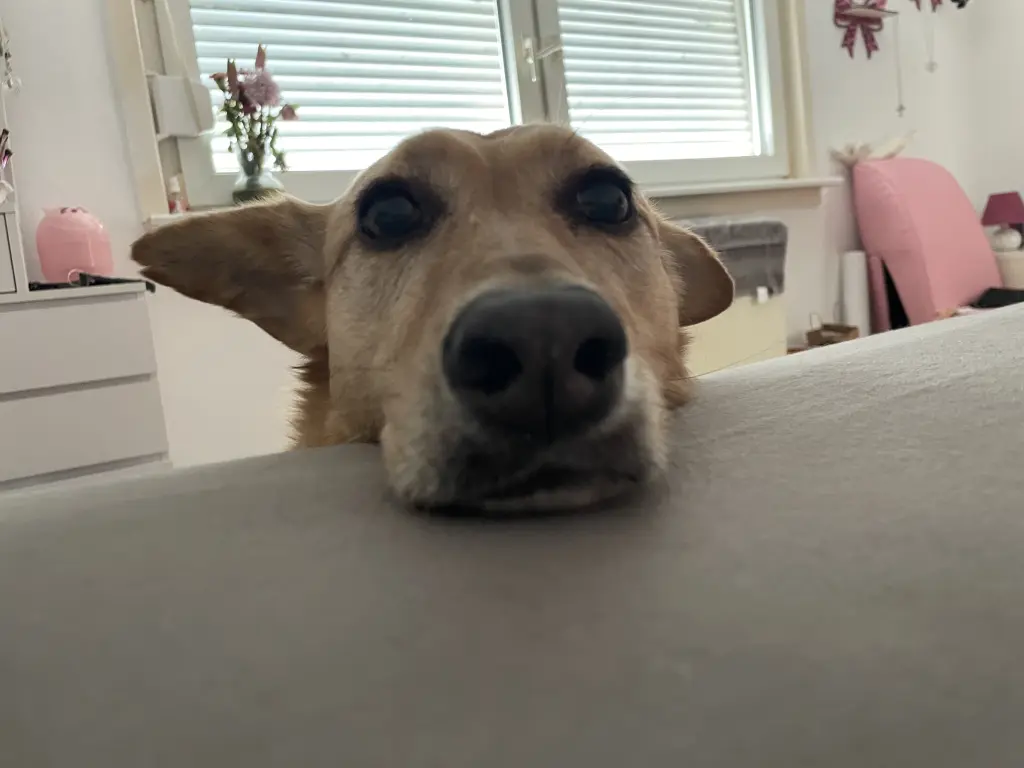 Andachtsbild von Fiona Mc Crea