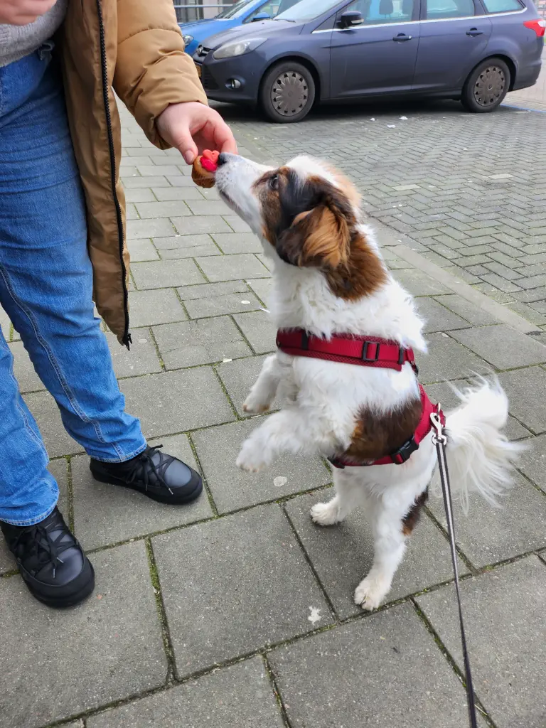 Image from Balou