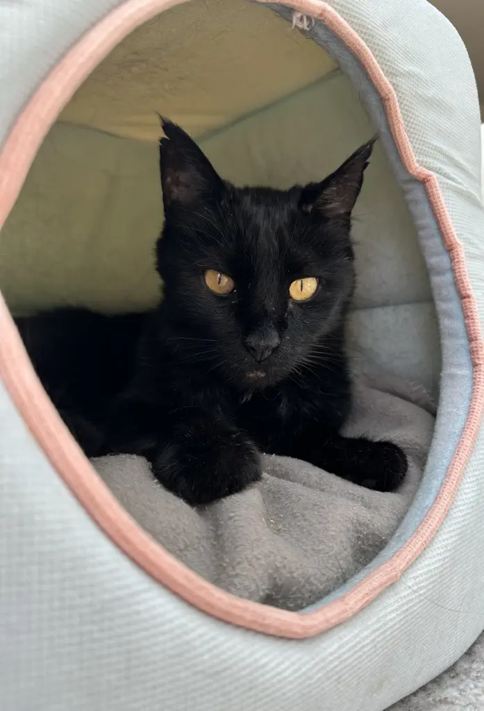 Andachtsbild von Heike Ansahl