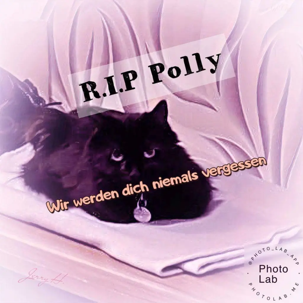 Condolence image of Erika Schauland