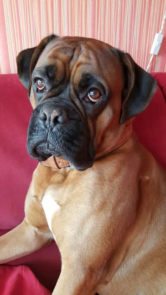 Bild von Zeus