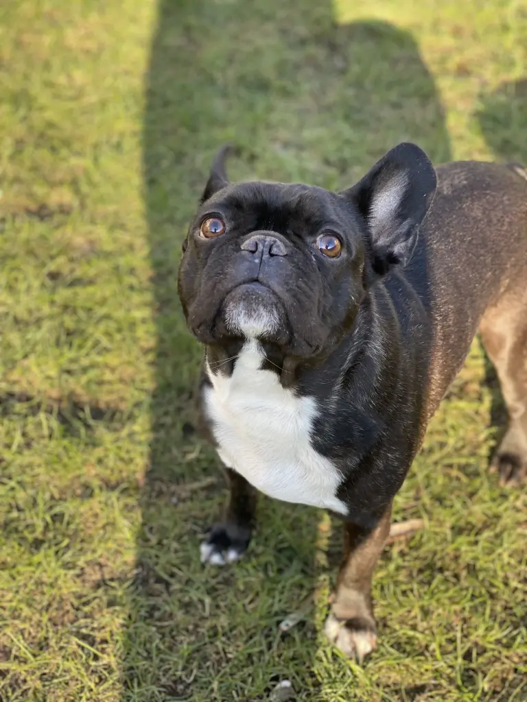 Der schönste Blick 🫶🏻