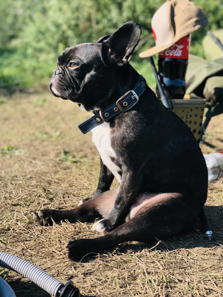 Der Angel-Buddy ❤️