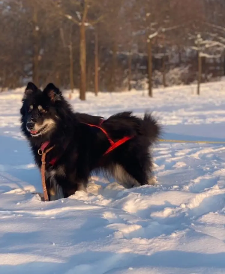 Bild von Chem Amanine